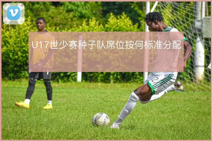 U17世少赛种子队席位按何标准分配
