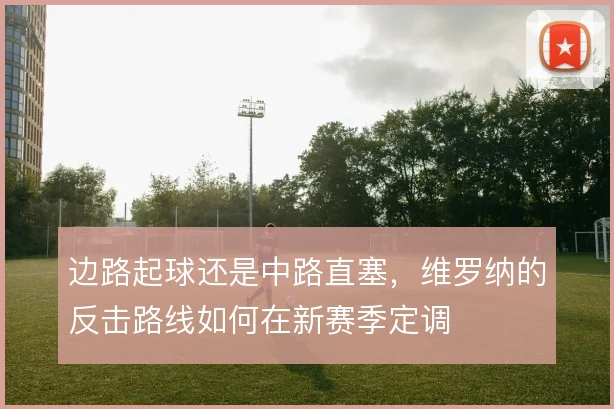 边路起球还是中路直塞,维罗纳的反击路线如何在新赛季定调