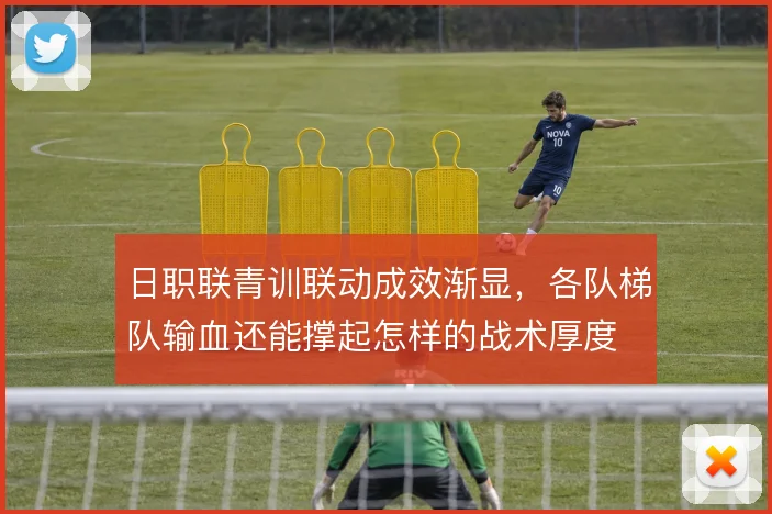 日职联青训联动成效渐显,各队梯队输血还能撑起怎样的战术厚度